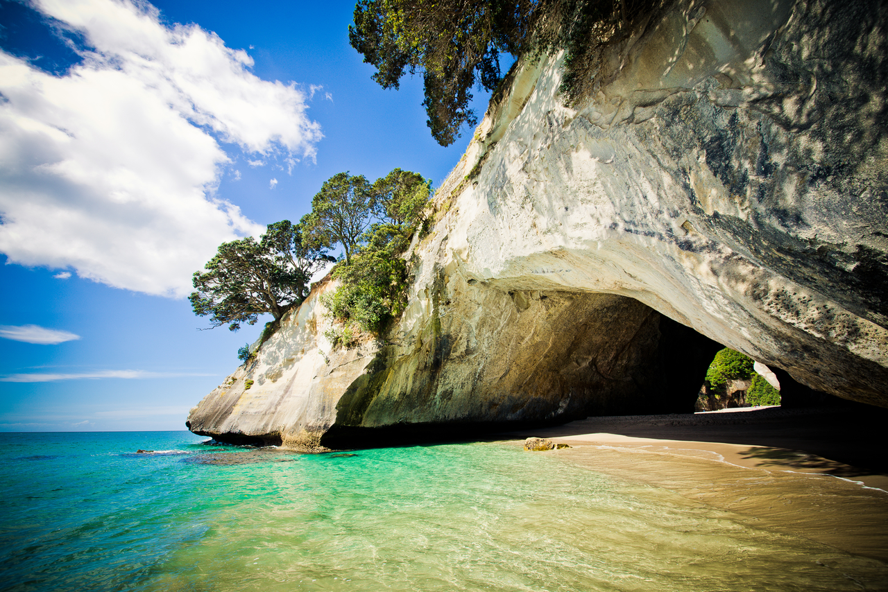 Coromandel Peninsula Highlights Small Group Tour from Auckland  - Photo 1 of 9